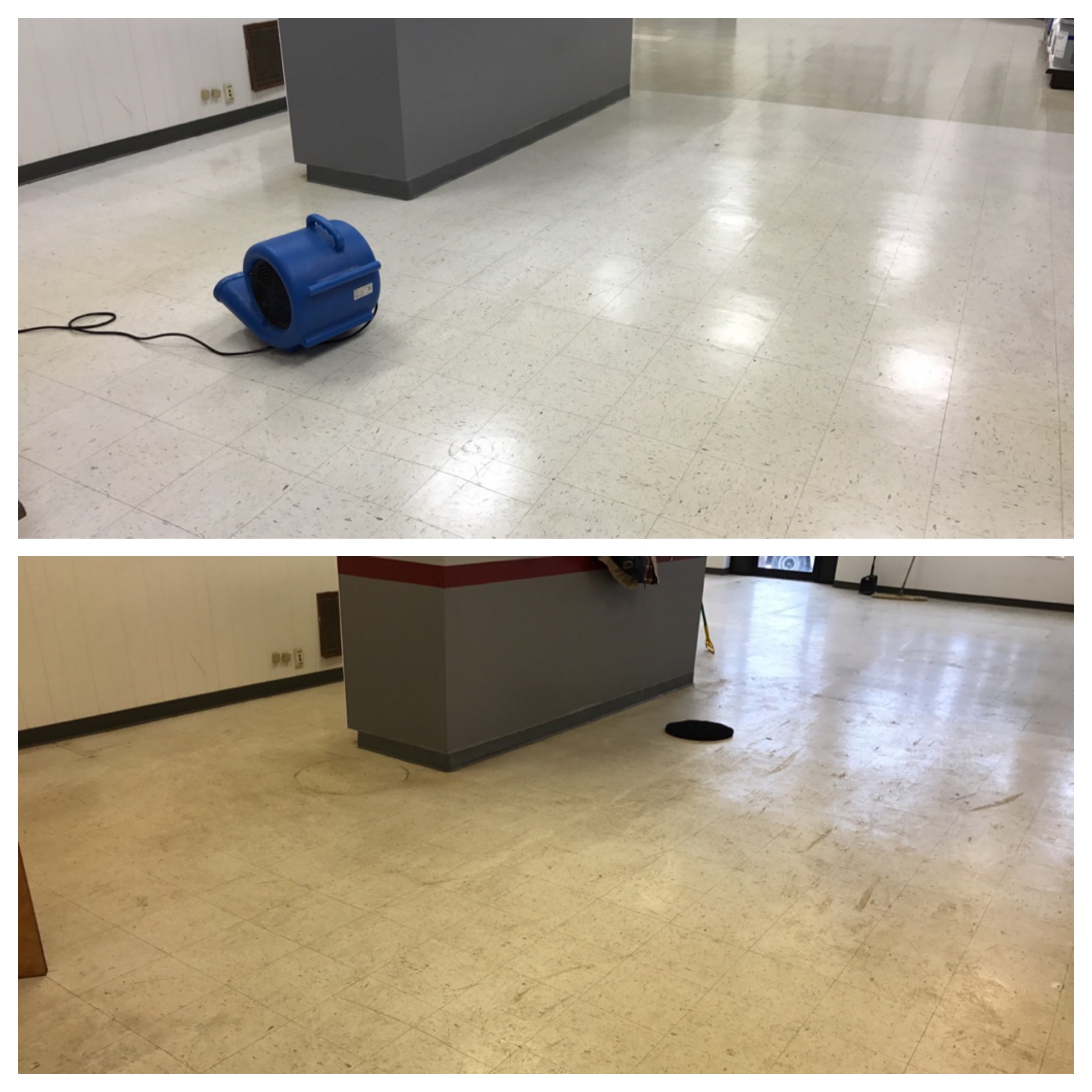 Vinyl Floor Stripping for Auburn and CNY Business and Home 
