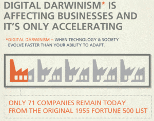 Digital Darwinism Fuels Drug Rehab Marketing