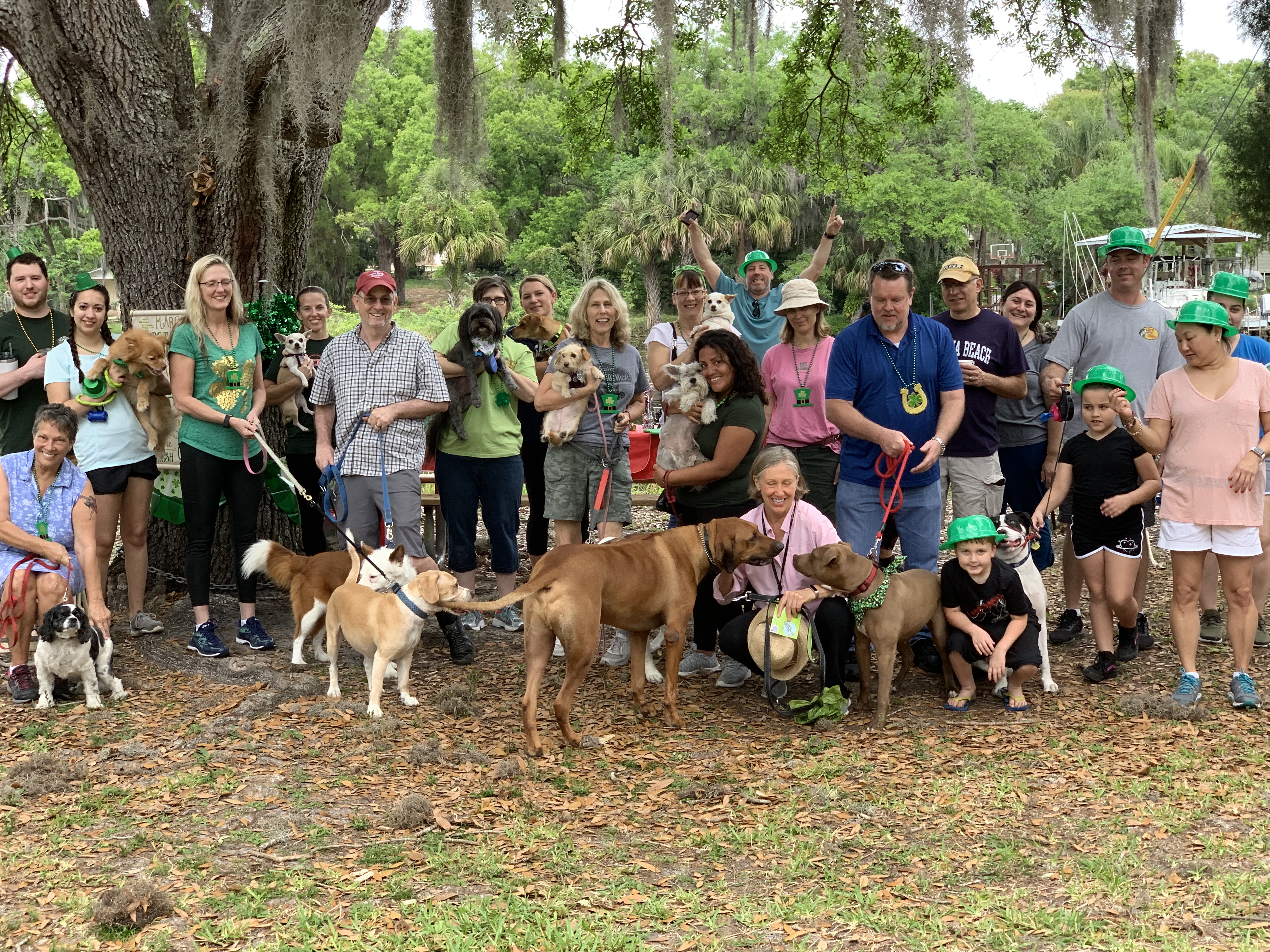 St. Patty Pawty at the Saturday Morning Dog Pack Walk by Seminole